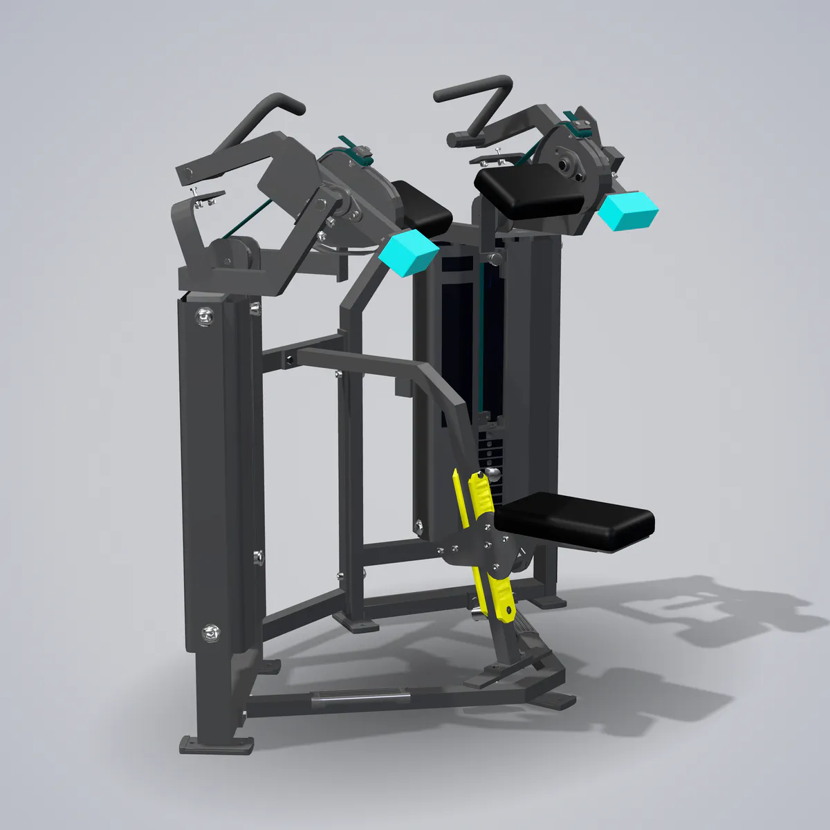 Biceps Curl PM2037 — wizualizacja 3D