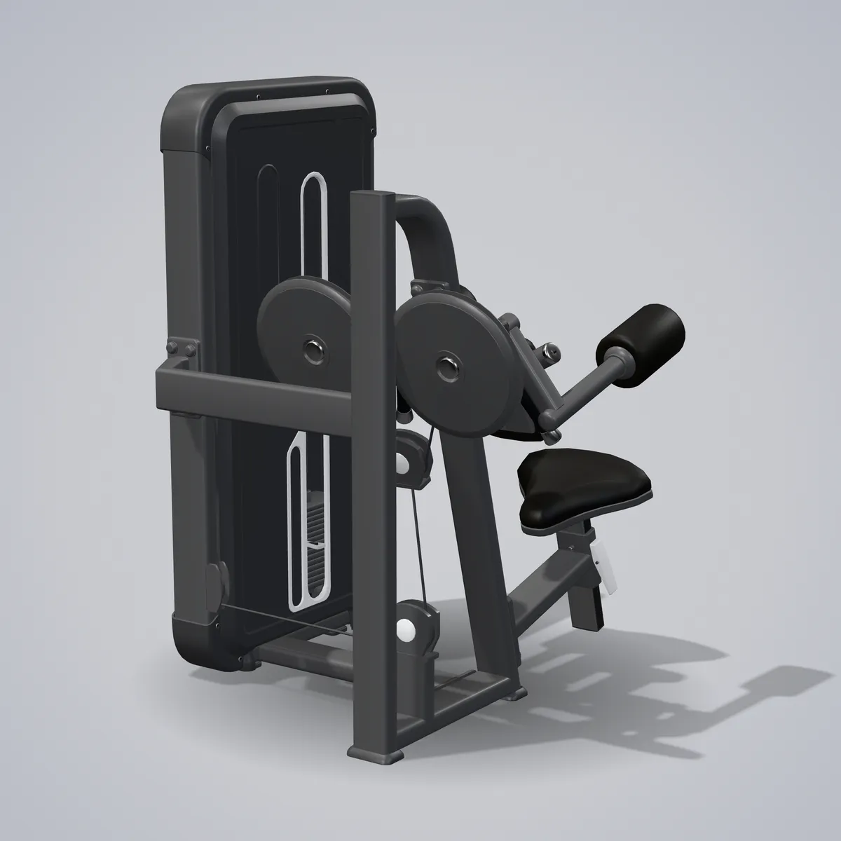 Lateral Raise A3005 — wizualizacja 3D
