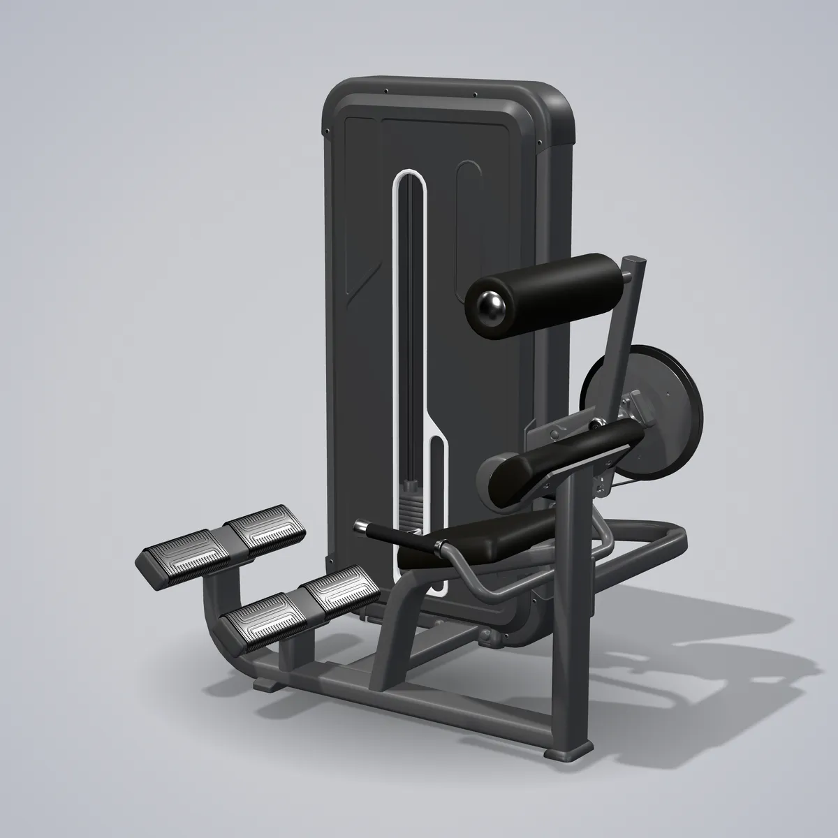 Back Extension A3031 — wizualizacja 3D