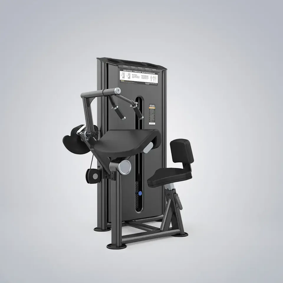 Triceps Extension U2028