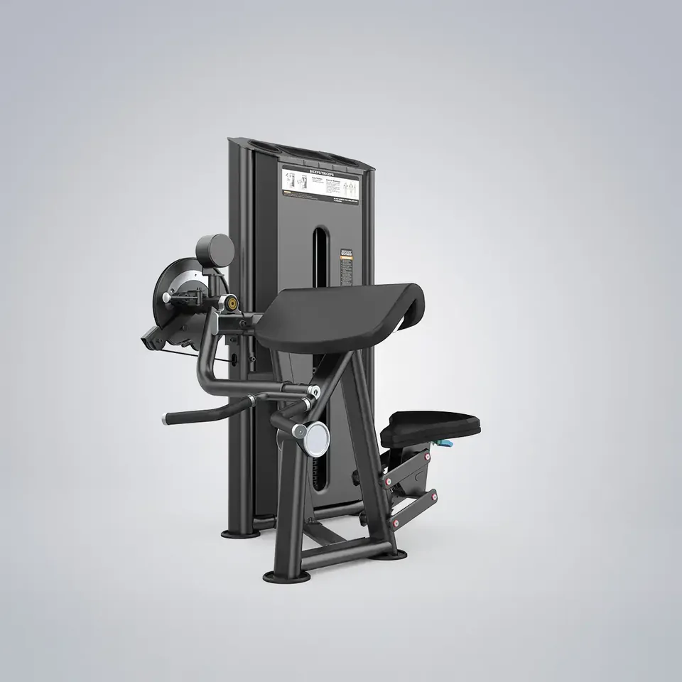 Camber Curl & Triceps U2087